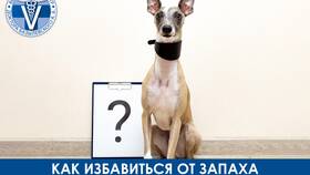 Чем вывести мочу собаки в Аквафор
