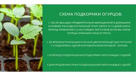 Как погасить золу уксусом: правильные пропорции в Аквафор