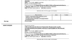Как вернуть государственную пошлину по решению суда