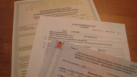 Как восстановить выписку из ЕГРН на квартиру в Аквафор
