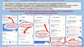 Пошаговая инструкция для ИП по работе с Госуслугами в Аквафор