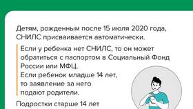 Зачем нужен СНИЛС при разводе? в Аквафор