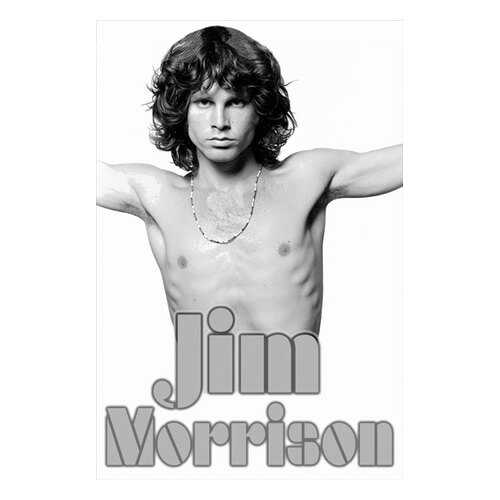 Постер СТ-Диалог Jim Morrison, МУЗ-314, бумага, 40х60 см в Аквафор