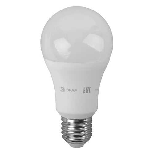 Лампочка ЭРА ECO LED smd A60 Б0030028 в Аквафор