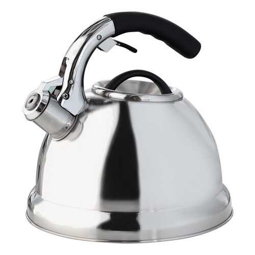 Чайник для плиты Berkraft 350006 3 л в Аквафор